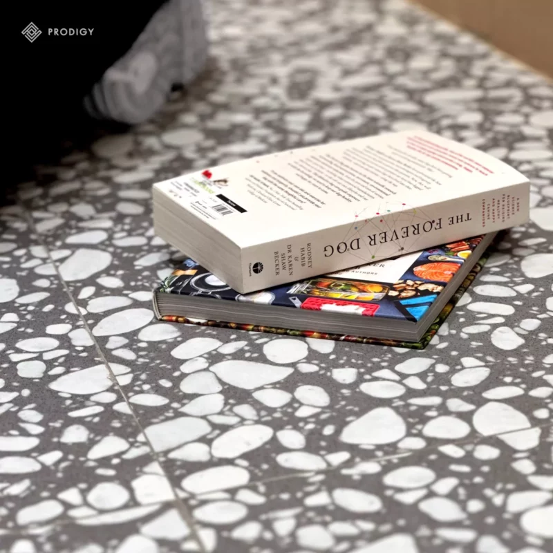 Prodigy Stone - พื้นกระเบื้องพอร์ซเลน Asia Book Iconsiam